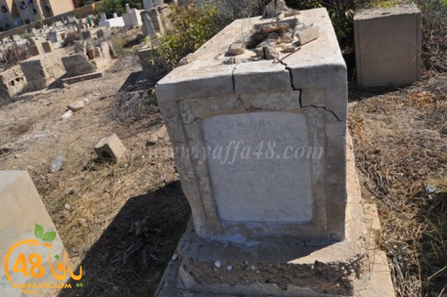 WhatsApp Image 2022-05-25 at 1.01.43 PM (2).jpg